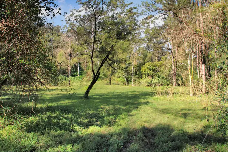 Seventh view of Homely land listing, Lot1 DP 810064 Iron Pot Creek Road, Ghinni Ghi NSW 2474