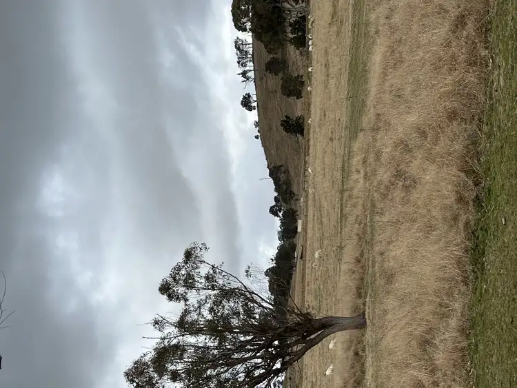 Fifth view of Homely rural property listing, Address available on request