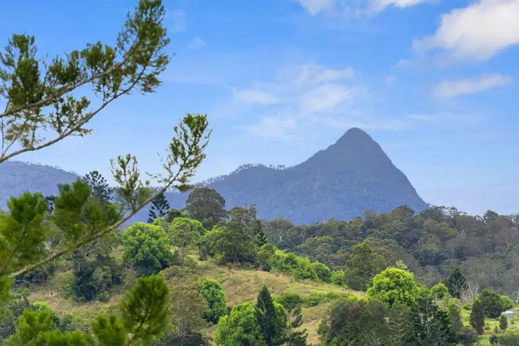 22, LOT 22, 2981 Kyogle Road, Kunghur NSW 2484