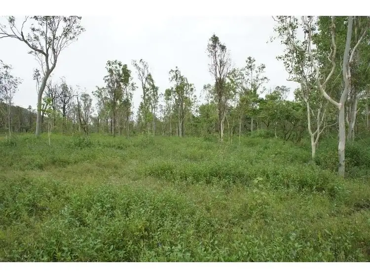 Fourth view of Homely land listing, 140 Toscavale Road, Black River QLD 4818