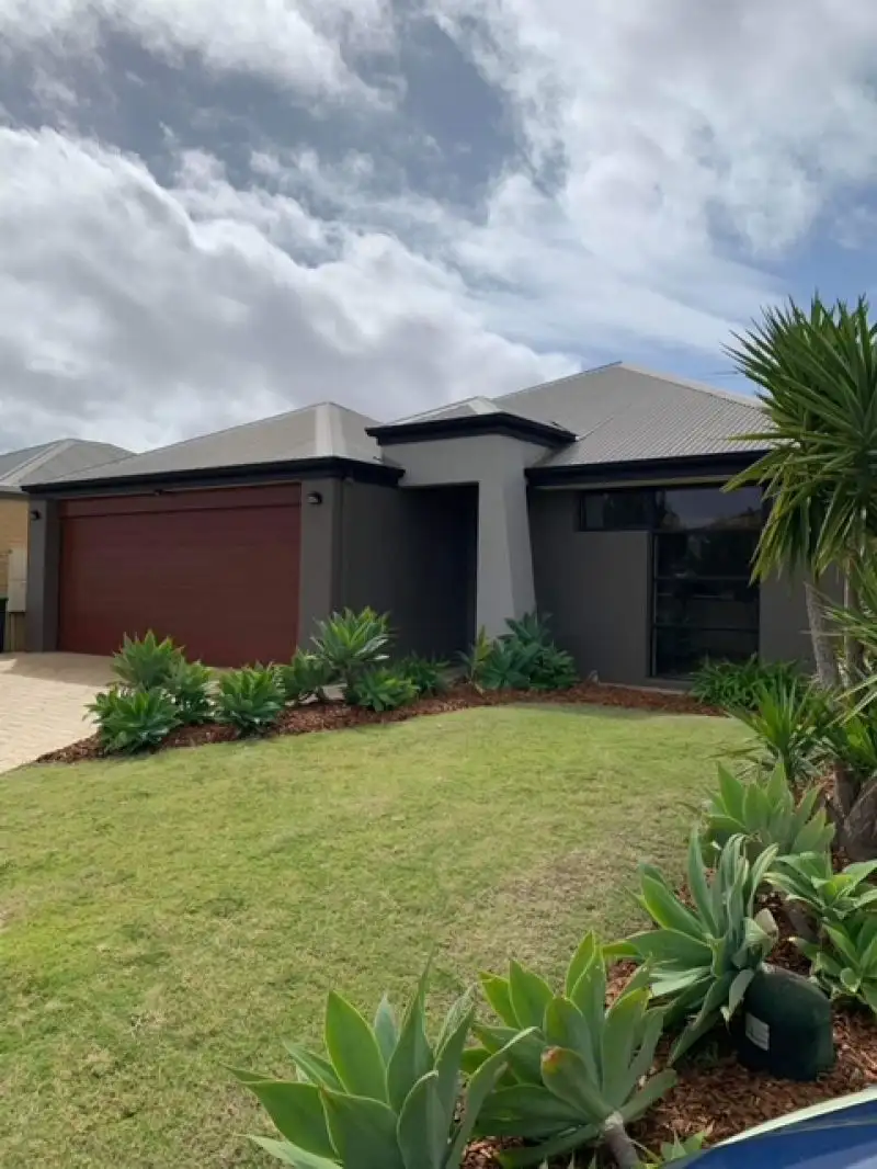 Main view of Homely house listing, 3 Gerygone Pass, Tapping WA 6065
