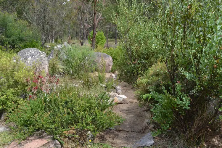 Third view of Homely rural property listing, Lot 1 Mt Lindesay Rd, Tenterfield NSW 2372