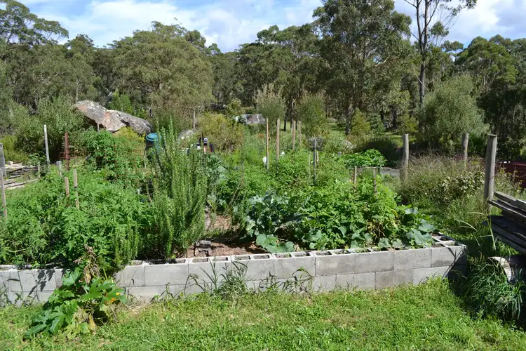 Fourth view of Homely rural property listing, Lot 1 Mt Lindesay Rd, Tenterfield NSW 2372