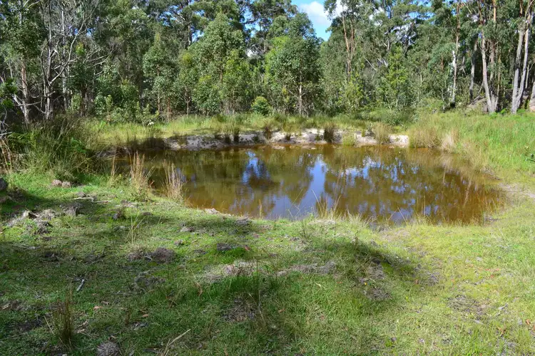 Sixth view of Homely rural property listing, Lot 1 Mt Lindesay Rd, Tenterfield NSW 2372