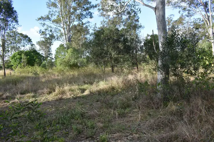 Sixth view of Homely rural property listing, Lot 1 Blackmount Road, Tiaro QLD 4650