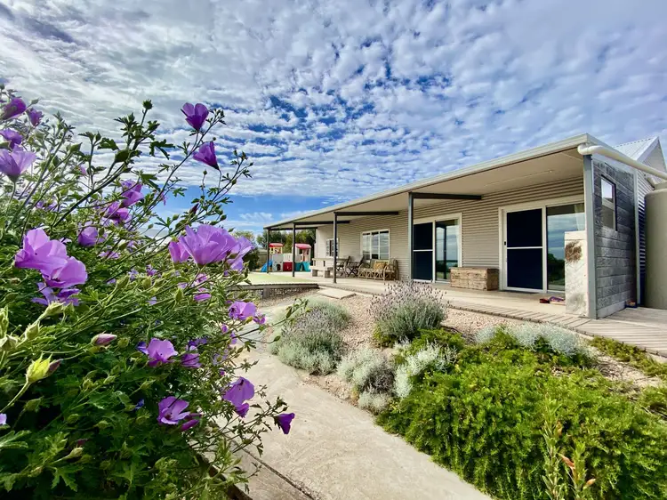 Main view of Homely house listing, 7 Dunn Drive, Sceale Bay SA 5680