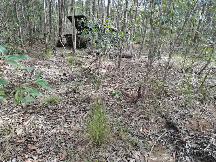 Main view of Homely rural property listing, 37 Raintree Road, Glenwood QLD 4570