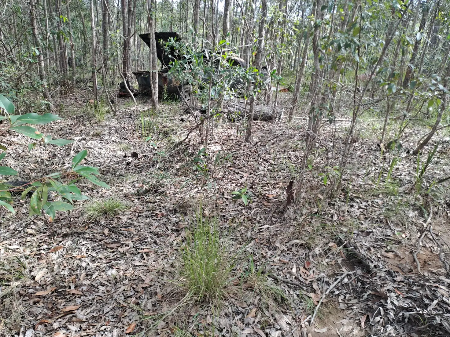 Main view of Homely rural property listing, 37 Raintree Road, Glenwood QLD 4570