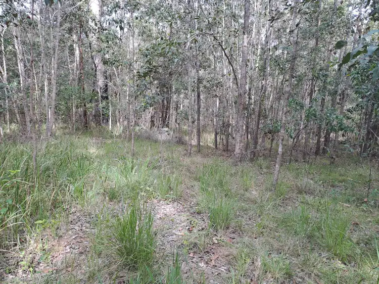 Second view of Homely rural property listing, 37 Raintree Road, Glenwood QLD 4570