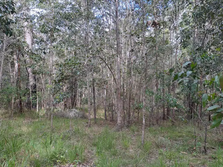 Third view of Homely rural property listing, 37 Raintree Road, Glenwood QLD 4570