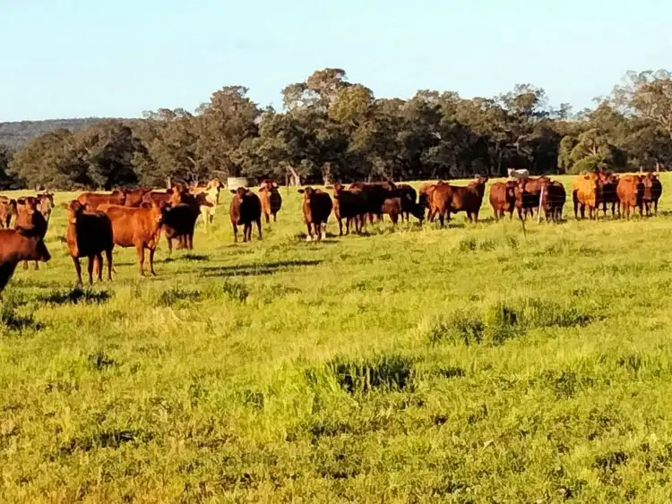 Second view of Homely land listing, 1094 Brand Highway, Muchea WA 6501