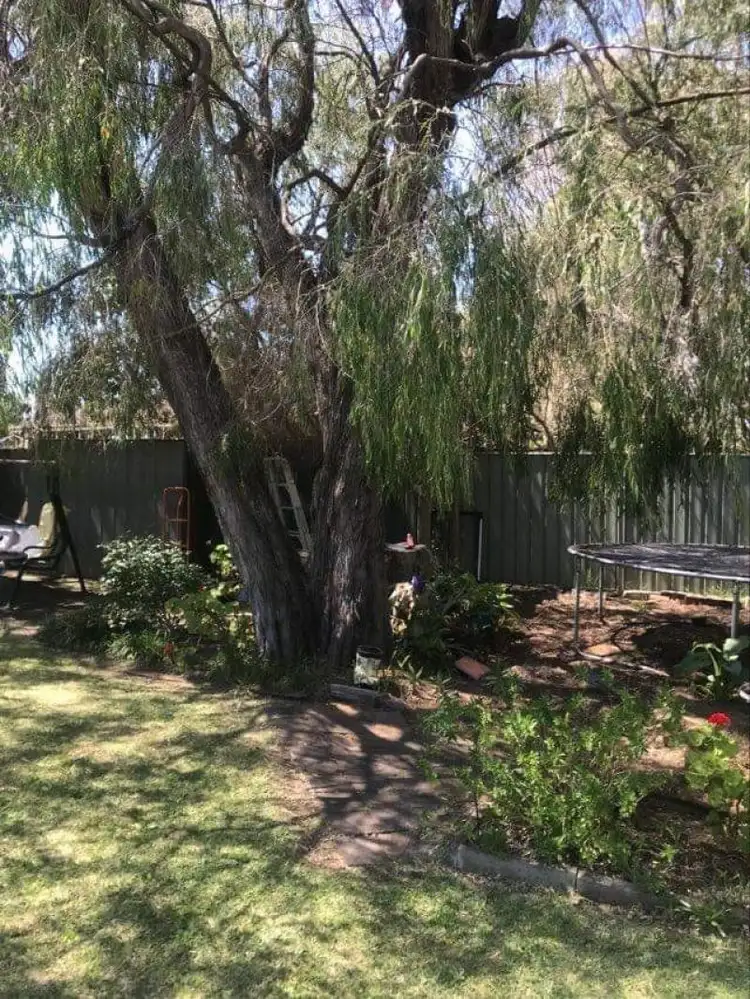 Sixth view of Homely house listing, 11 Willmott st, Geographe WA 6280