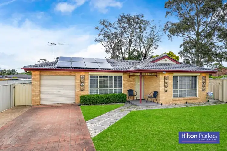 11 McCann Place