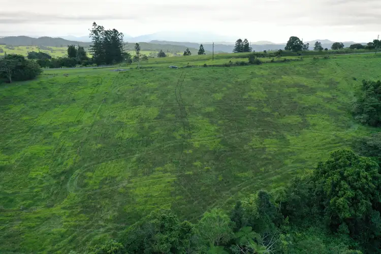 Second view of Homely rural property listing, 4809 Palmerston Highway, Millaa Millaa QLD 4886