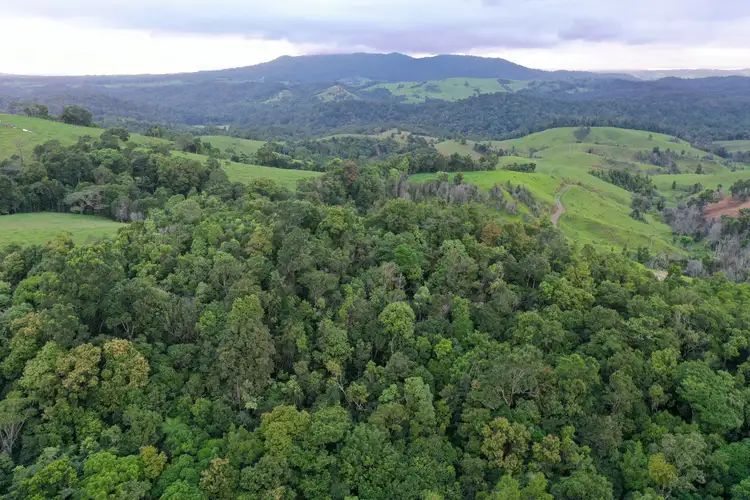 Third view of Homely rural property listing, 4809 Palmerston Highway, Millaa Millaa QLD 4886