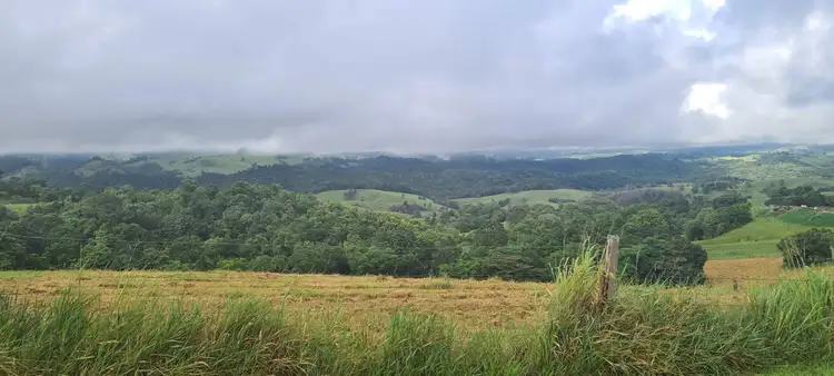 Fourth view of Homely rural property listing, 4809 Palmerston Highway, Millaa Millaa QLD 4886