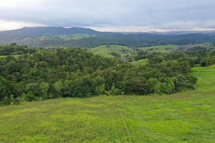Sixth view of Homely rural property listing, 4809 Palmerston Highway, Millaa Millaa QLD 4886