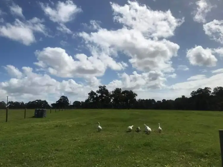 Third view of Homely land listing, Lot 205 Nanga Brook rd, Waroona WA 6215