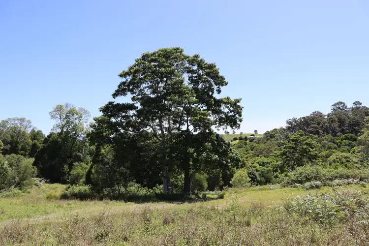 Fifth view of Homely land listing, 77 Outlook Road, Veteran QLD 4570