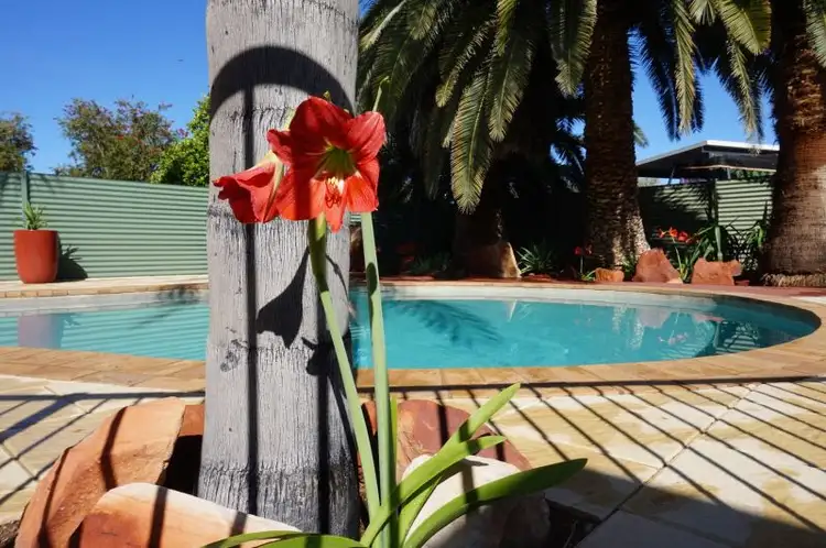 Main view of Homely house listing, 13 Dixon Road, Braitling NT 870