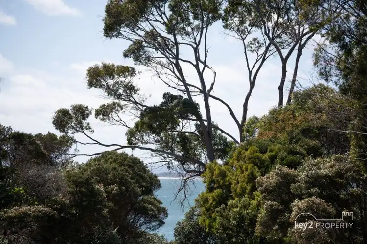 Fourth view of Homely house listing, 83 Bentley Street, Bridport TAS 7262