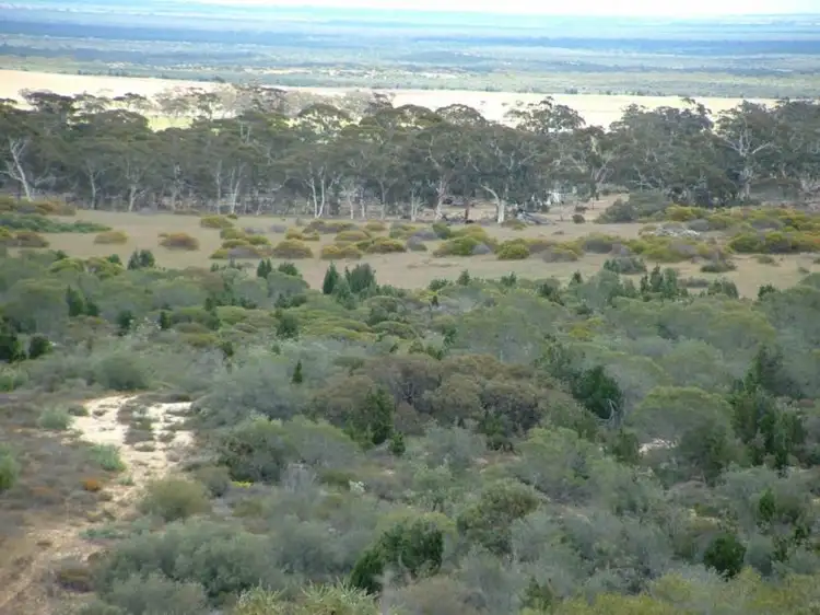 9876 Coorow-Green Head Road, Warradarge WA 6518