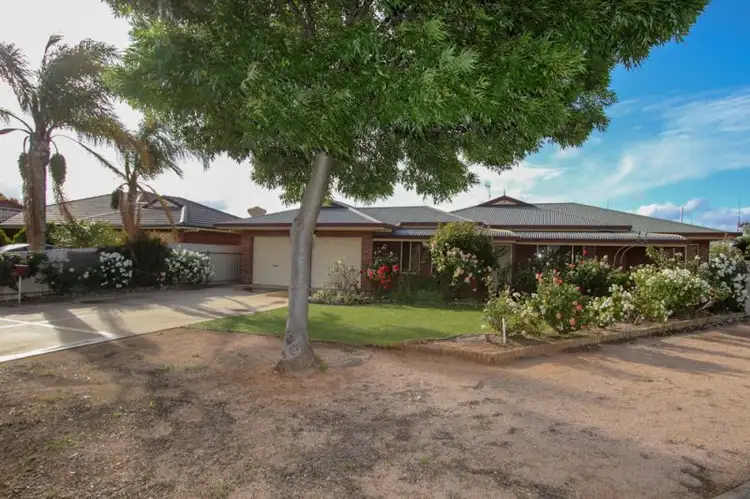 13 Fulwood Street, Waikerie SA 5330