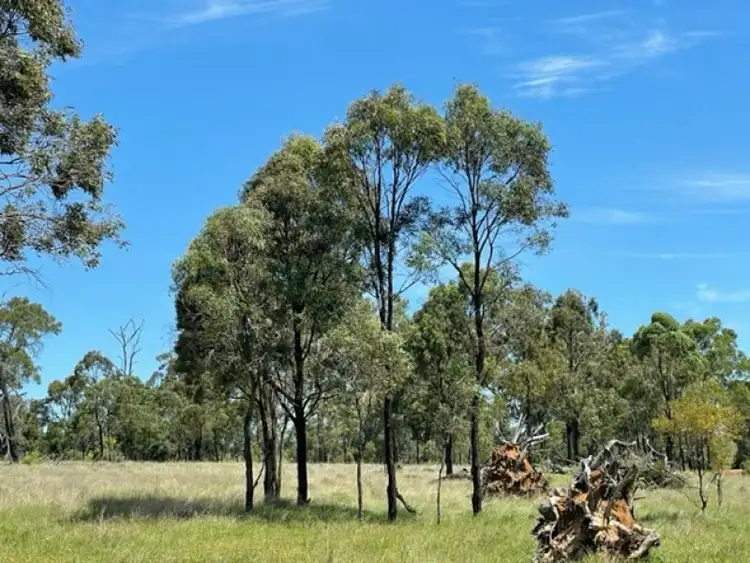 Fifth view of Homely rural property listing, 798 Minmore Road, Wattle Grove QLD 4610