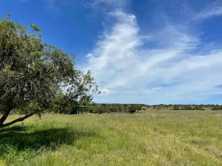 Sixth view of Homely rural property listing, 798 Minmore Road, Wattle Grove QLD 4610