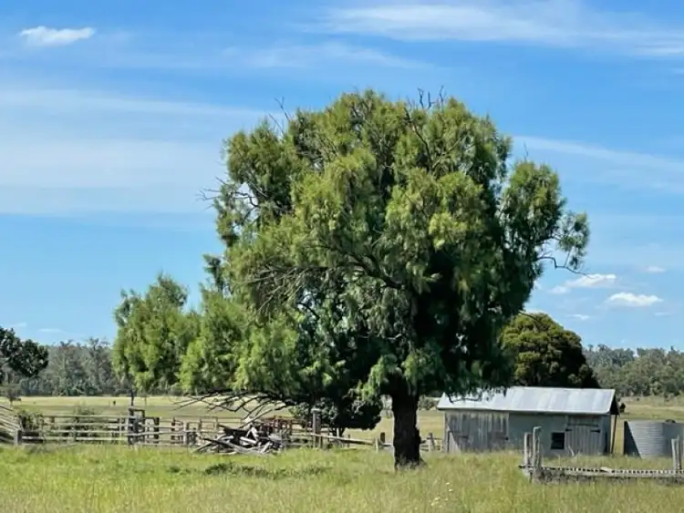 Seventh view of Homely rural property listing, 798 Minmore Road, Wattle Grove QLD 4610