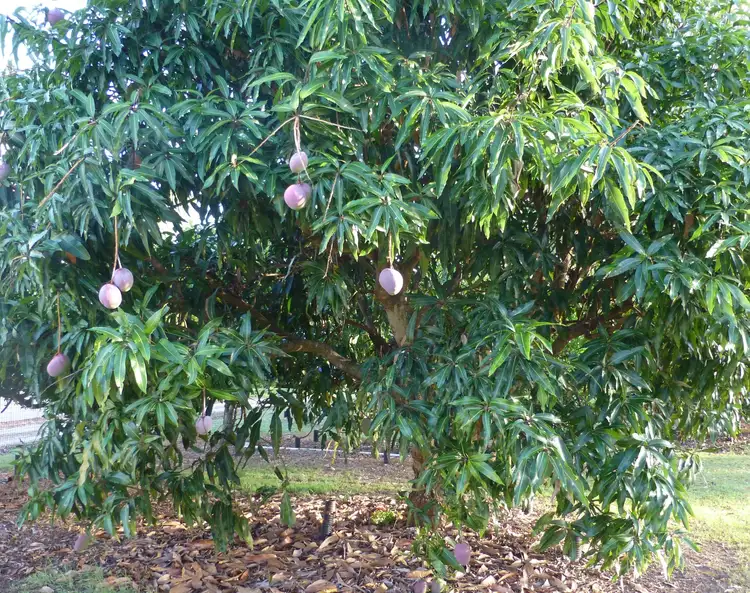 Seventh view of Homely land listing, 48806 Bruce Highway, Benaraby QLD 4680