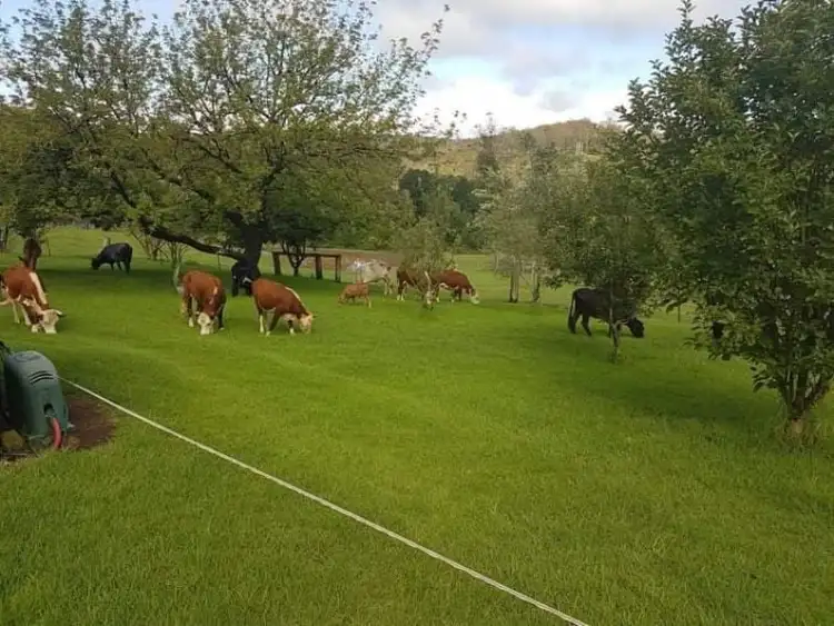 Sixth view of Homely rural property listing, 7630 Armidale Rd, Billys Creek NSW 2453