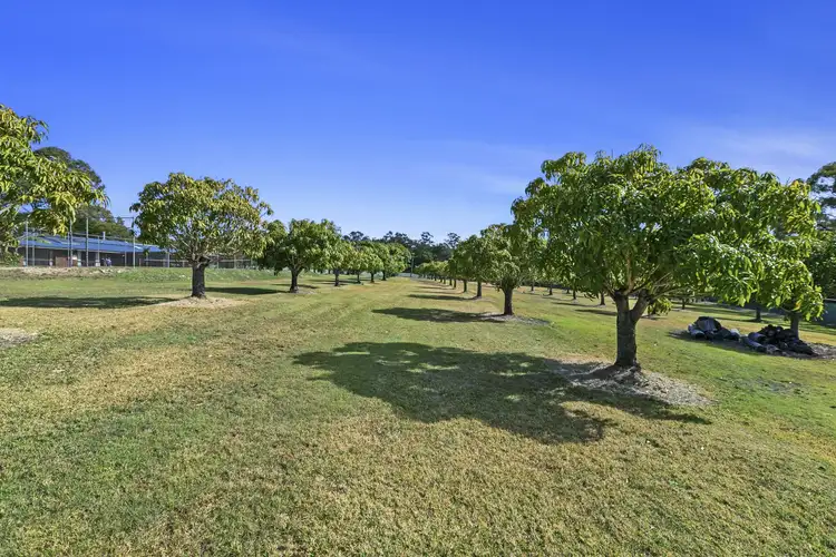 Fourth view of Homely rural property listing, 187 Springvale Road, Tinana QLD 4650