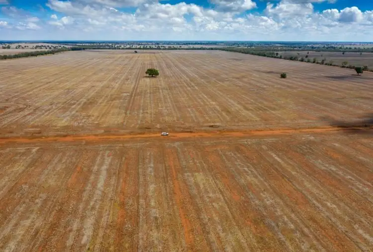 Third view of Homely rural property listing, 4669 Tabratong Crossing Road, Tottenham NSW 2873
