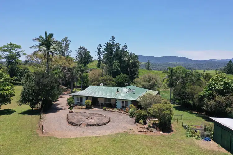 Second view of Homely rural property listing, 4963 Palmerston Highway, Millaa Millaa QLD 4886