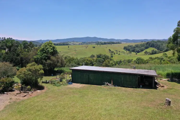 Third view of Homely rural property listing, 4963 Palmerston Highway, Millaa Millaa QLD 4886