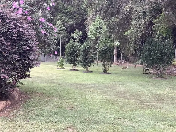 Main view of Homely rural property listing, 38 Rosewood Close, Malanda QLD 4885