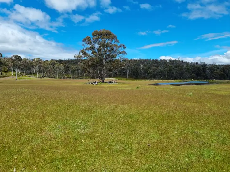 Fifth view of Homely land listing, PID 5475910 McGuires Marsh Road, Osterley TAS 7140