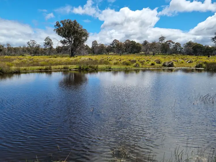 Sixth view of Homely land listing, PID 5475910 McGuires Marsh Road, Osterley TAS 7140