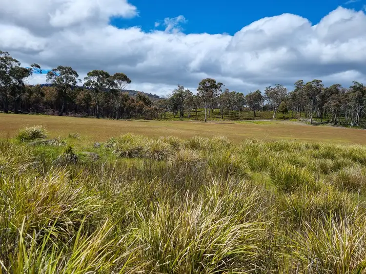Seventh view of Homely land listing, PID 5475910 McGuires Marsh Road, Osterley TAS 7140