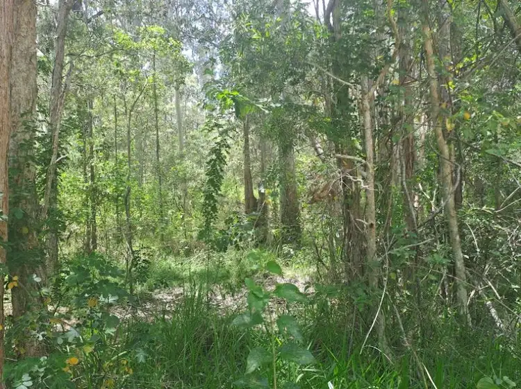 Main view of Homely rural property listing, Lot 727 Arbortwenty Eight Road, Glenwood QLD 4570
