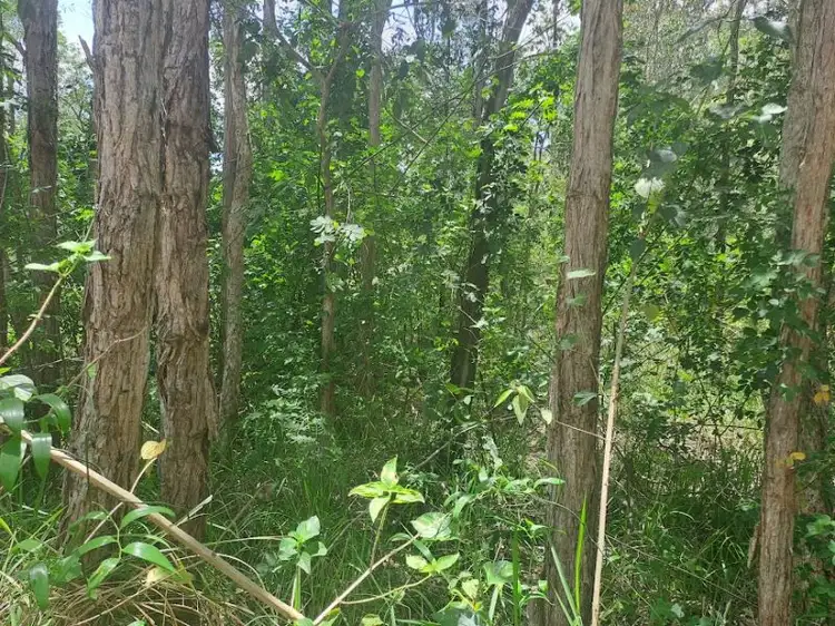 Second view of Homely rural property listing, Lot 727 Arbortwenty Eight Road, Glenwood QLD 4570