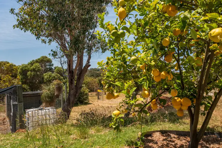 Third view of Homely land listing, 119 Randall Road, Hay WA 6333