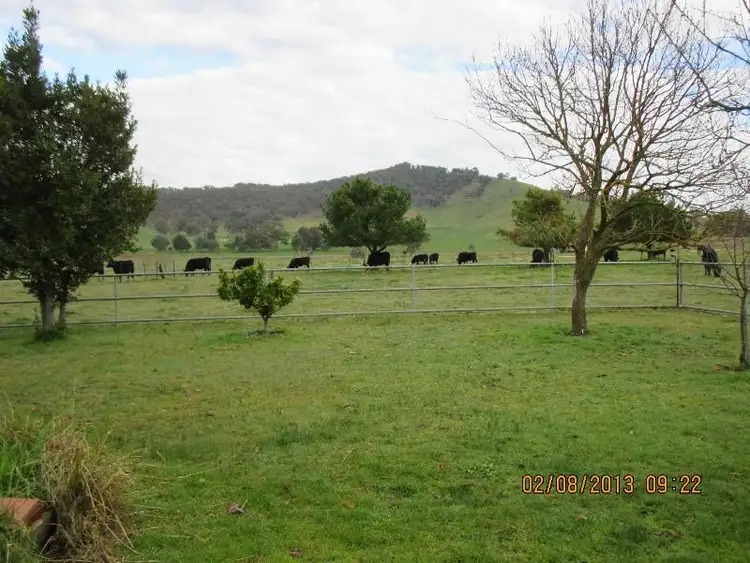 Third view of Homely rural property listing, 12 Alpine Way, Khancoban NSW 2642