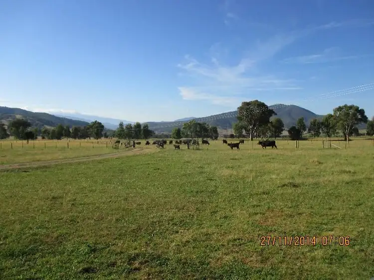 Sixth view of Homely rural property listing, 12 Alpine Way, Khancoban NSW 2642