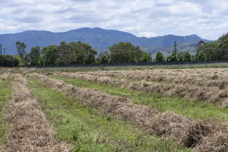 Sixth view of Homely land listing, 1068 Segenhoe Road, Scone NSW 2337