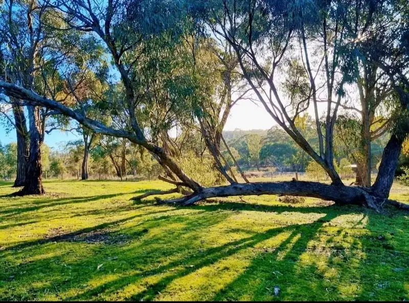 Main view of Homely land listing, 813 Strath Creek Road, Tyaak VIC 3658