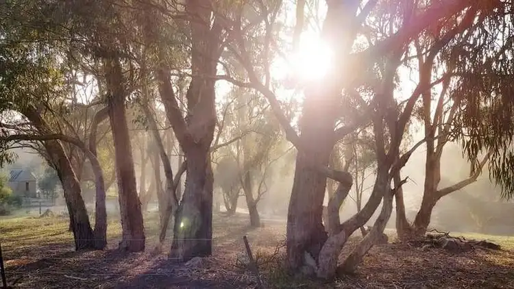 Second view of Homely land listing, 813 Strath Creek Road, Tyaak VIC 3658