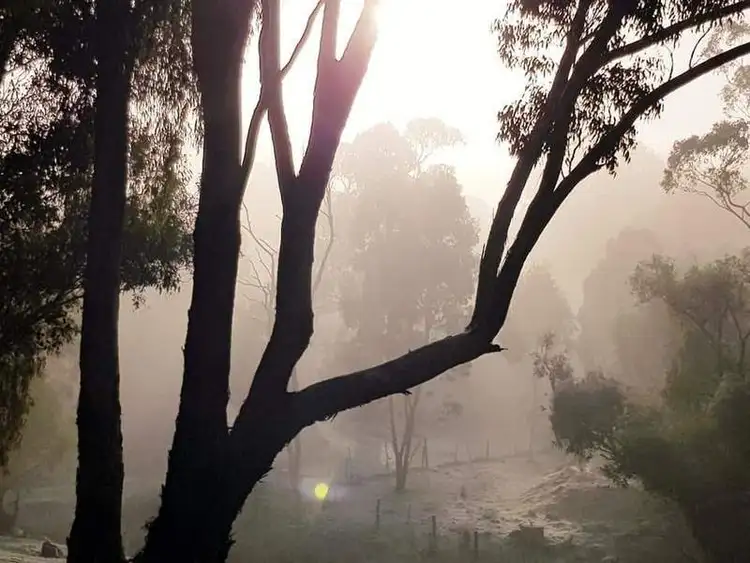 Third view of Homely land listing, 813 Strath Creek Road, Tyaak VIC 3658