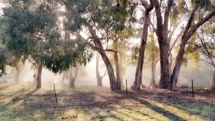 Fourth view of Homely land listing, 813 Strath Creek Road, Tyaak VIC 3658